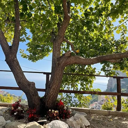 Casa Enzo Con Vista Mare 아파트