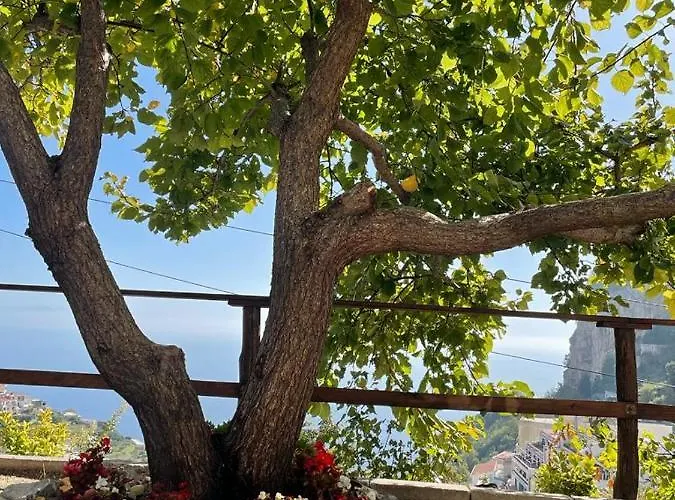 Casa Enzo Con Vista Mare アパート